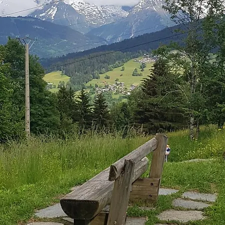 Confort Avec Vue Sur Les Sommets * Combloux